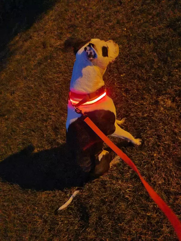 1761878496690421e093c609760310